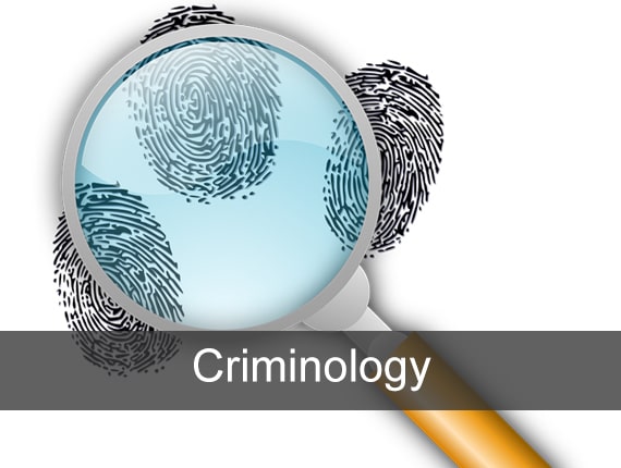 language-criminology