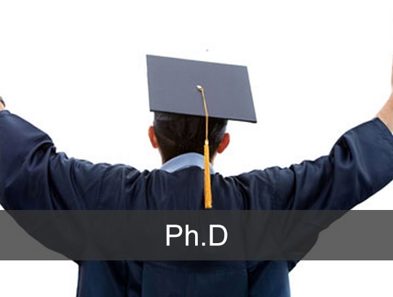 phd in french online